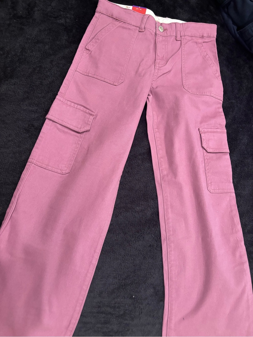 Levi's “Grape Nectar” Wide Leg Cargo Pants